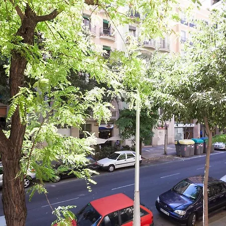 U-nique Napols Ii Barcelona